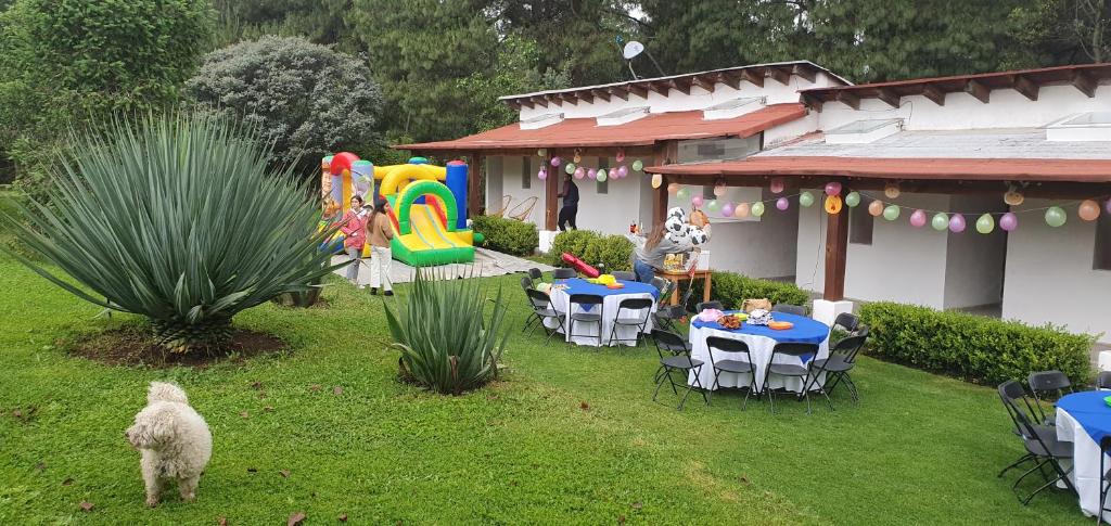 Imagen 4